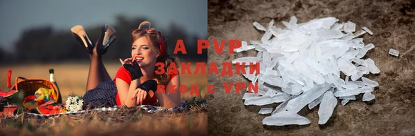 крисы Баксан