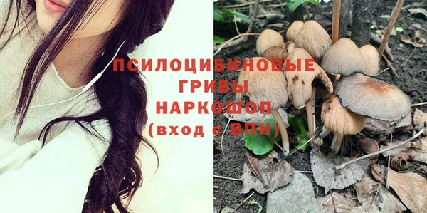 крисы Баксан