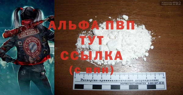 крисы Баксан