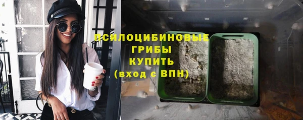 эйфоретик Балахна